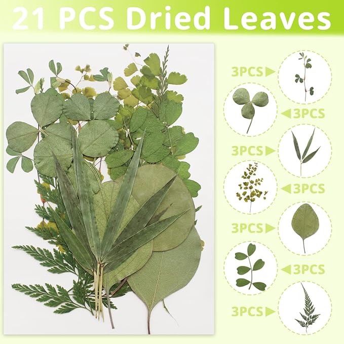 Cinvo 63 Pcs Real Dried Pressed Leaves Natural Assorted Dried Greenery with Tweezer for Resin Candle Jewelry Soap Nail Pendant Phone Case Art Craft DIY Embellishment Decorations(2023