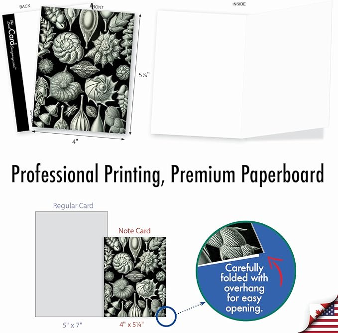 The Best Card Company - 10 Blank Note Cards with Envelopes (4 x 5.12 Inch) - Black & White Photos, Bulk Boxed Set - Sea World M9693OCB