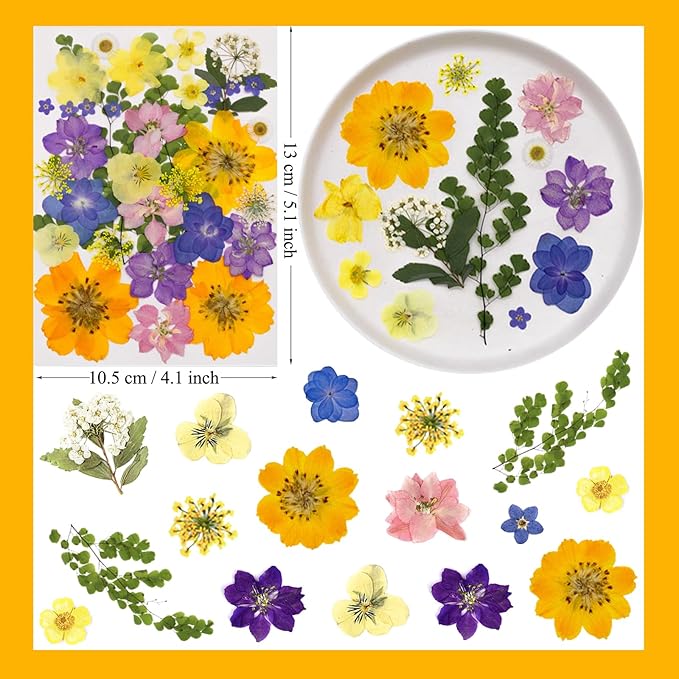 34Pcs Pressed Dried Flowers for Resin, Assorted Real Natural Bulk Dry Leaves for DIY Art Crafts, Epoxy Molds, Jewelry, Soap, Candle Making, Nails Decors