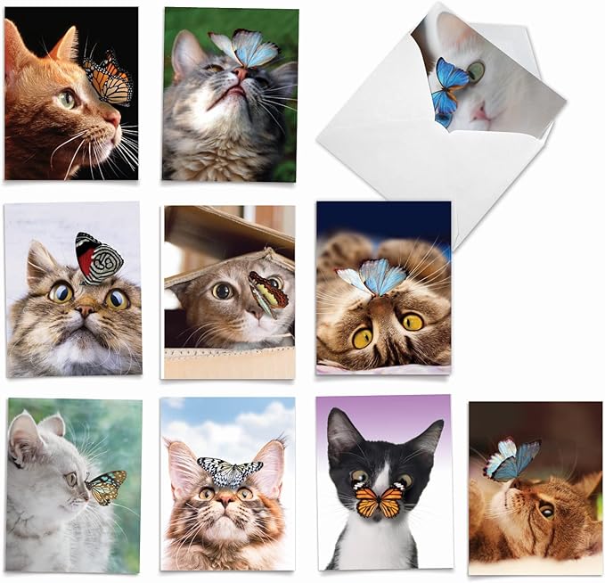 The Best Card Company - 10 All Occasion Blank Cat Cards (4 x 5.12 Inch) - Cute Assorted Bulk Card Set - On The Nose M4947OCB-B1x10