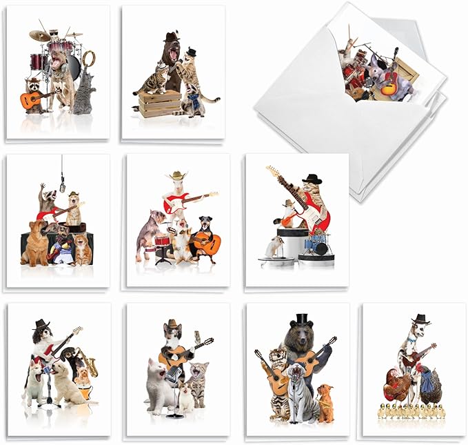 The Best Card Company - 20 Assorted Bulk Animal Cards Boxed (4 x 5.12 Inch) (10 Designs, 2 Each) - Animal Bands AM9508OCB-B2x10