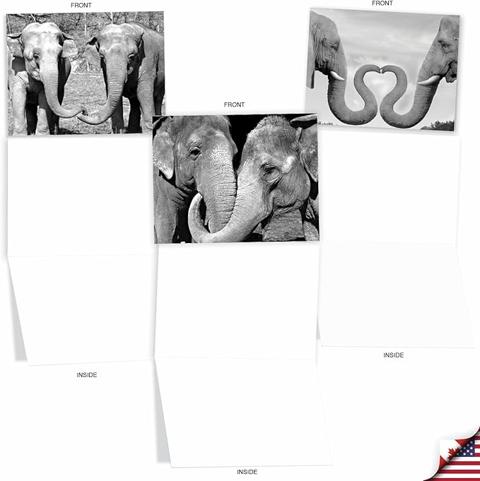 The Best Card Company - 10 Blank Note Cards with Envelopes (4 x 5.12 Inch) - Black & White Photos, Bulk Boxed Set - Trunks of Love M2370OCB