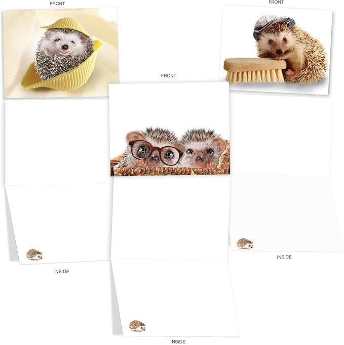 The Best Card Company - 10 Blank Animal Cards Boxed (4 x 5.12 Inch) - Assorted Pets, Zoo, Wildlife Cards for Kids - Cards from the Hedge M6541OCB