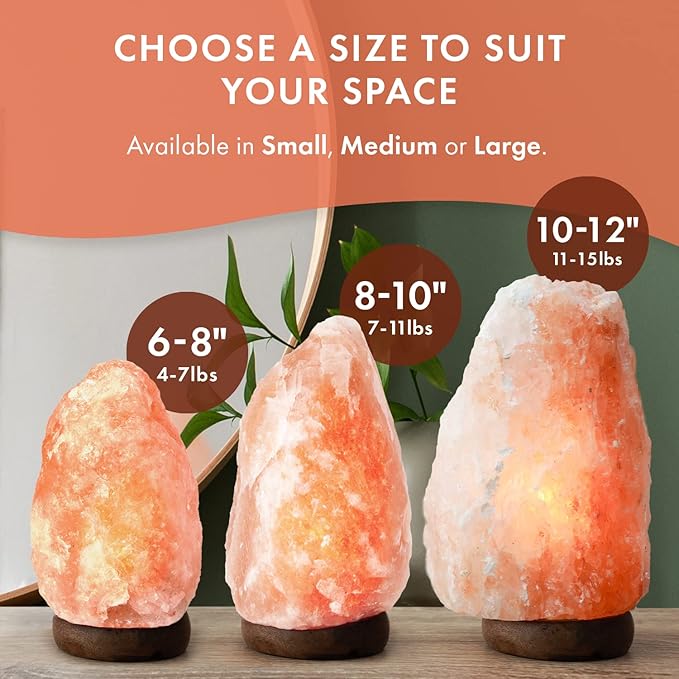 The Body Source Himalayan Salt Lamp | 8-10 in (7-11 lb) | Natural Salt Rock Lamp with Dimmer Switch & Wooden Base | Night Light & Bulb Replacement