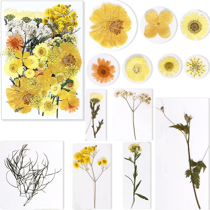 BIHRTC 100PCS Pressed Flowers for Resin Natural Real Pressed Flowers Orange Dried Flowers Assorted Dry Leaves Herbs Kits for Scrapbooking DIY Candle Accessories Jewelry Crafts Making