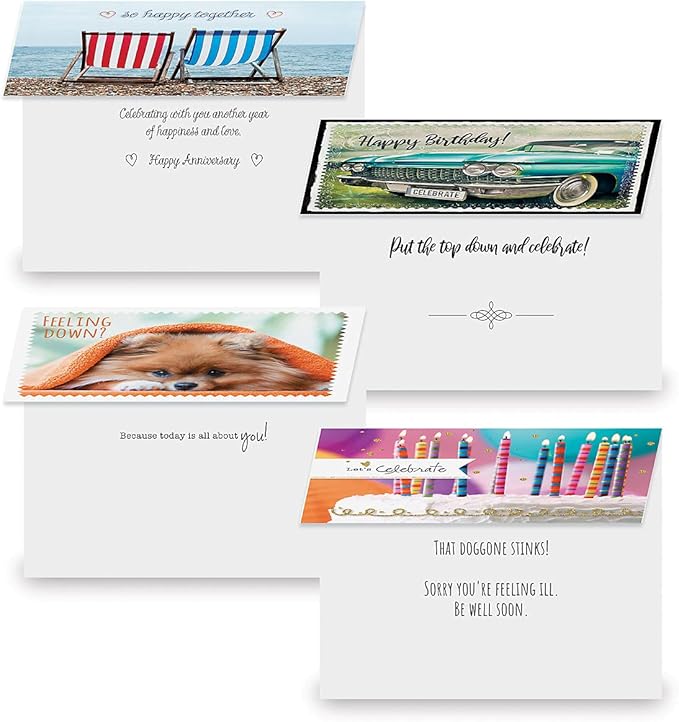 Current Modern Messages All Occasion Value Pack With Seals-40 Cards & Envelopes, Celebration, Get Well, Sympathy, Birthday, Holiday, & Thinking of You Variety, Large 5" x 7" Assortment, 20 Design Set