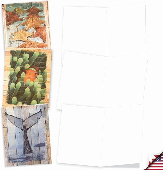 The Best Card Company - 10 Blank Note Cards with Envelopes (4 x 5.12 Inch) - Bulk All Occasion Cards Boxed - Ocean Driftwood Transfers AM6331OCB-B1x10