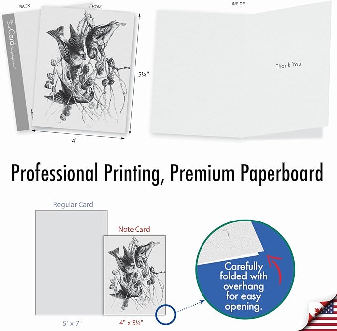 The Best Card Company - 10 Bird Note Cards Blank (4 x 5.12 Inch) - All Occasion Cards with Envelopes, Boxed Set - Wing Notes M6475OCB