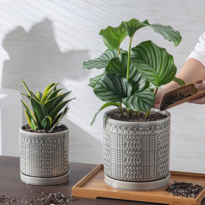 Indoor-Outdoor Ceramic Plant Pots: 6 Inch Flower Pots with Drainage Hole & Saucer - Decorative Ceramic Pots for Plants Herbs Succulents - Home Garden Patio Lawn Use (Grey)