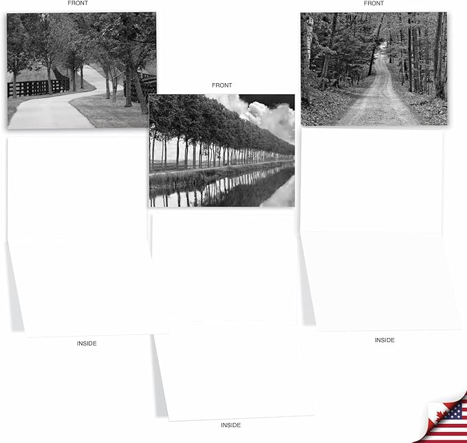 The Best Card Company - 20 All Occasion Blank Greeting Cards (4 x 5.12 Inch) - Monocolor Photos (10 Designs, 2 Each) - Tree Lines AM3313OCB-B2x10