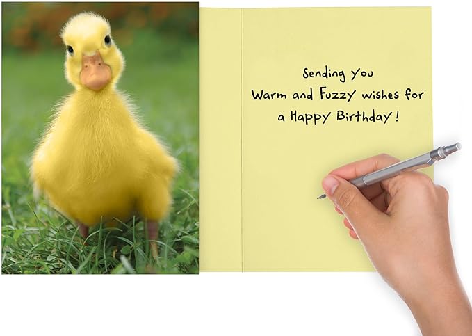 Birthday Card for women, Funny Birthday cards for kids, sister, daughter, mom, grandmother, teen, anyone who needs warm fuzzies.