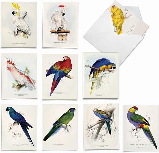 The Best Card Company - 10 Assorted Blank Notecards Bulk Box Set 4 x 5.12 Inch with Envelopes (10 Designs, 1 Each) - Birds of a Feather M6034