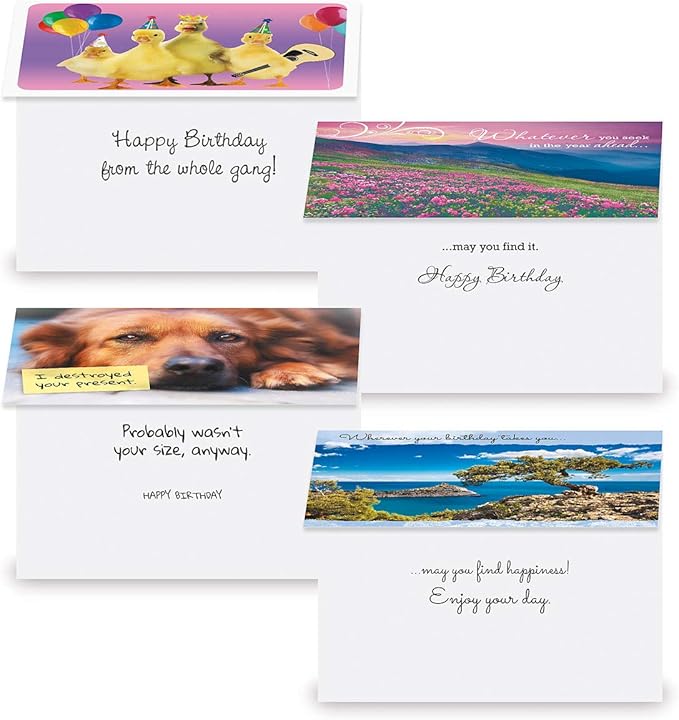 Current Mega Birthday Greeting Cards Value Pack – Set of 40 (20 Designs) Bulk Assortment, Large 5 x 7 inches, Envelopes Included