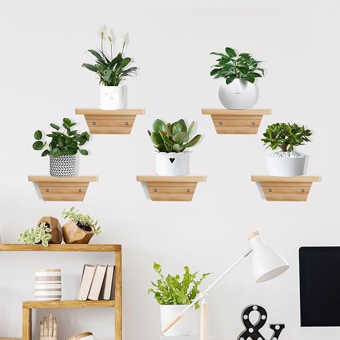 PHOENANCEE Small Floating Shelves,Trapezoid Wall Shelf for Speaker Table Lamp Plants Display,Decorative Wood Ledges Chic for Living Room,Bedroom,Kitchen,Office,Pine,8x6 Inch,2 Pack（Natural Wood）