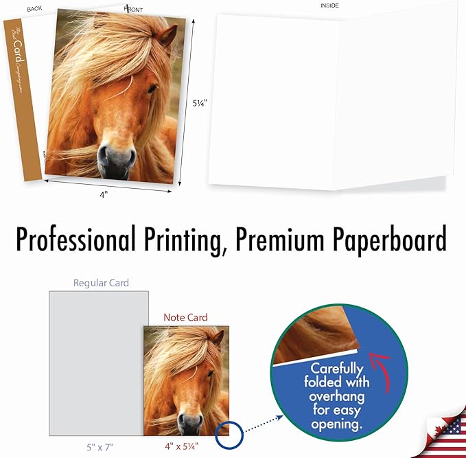 The Best Card Company - 20 Blank Note Cards with Envelopes (4 x 5.12 Inch) - All Occasion Animal Card Assortment (10 Designs, 2 Each) - Horses | Magnificent Manes AM4601OCB-B2x10