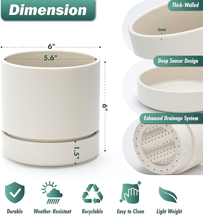 Phoenix Vine 6 Inch Planter Pot with Drainage Hole & Saucer, Deep Water Catch Tray, Straight Cylindrical Round Pot for Plants, Oatmeal, Pack of 3, 23-E-S-3