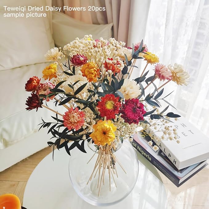 Natural Dried Straw Flower 20pcs, Natural Flowers Bouquet Daisies, Dried Daisies, Home Decoration,DIY Flower Arrangement