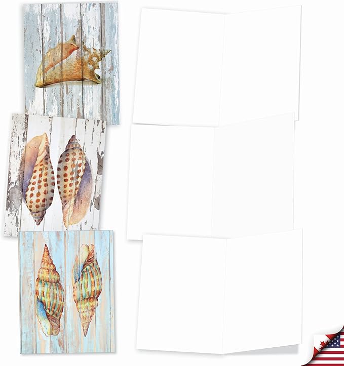 The Best Card Company - 10 Blank Note Cards with Envelopes (4 x 5.12 Inch) - Bulk All Occasion Cards Boxed - Seashell Driftwood AM6118OCB-B1x10