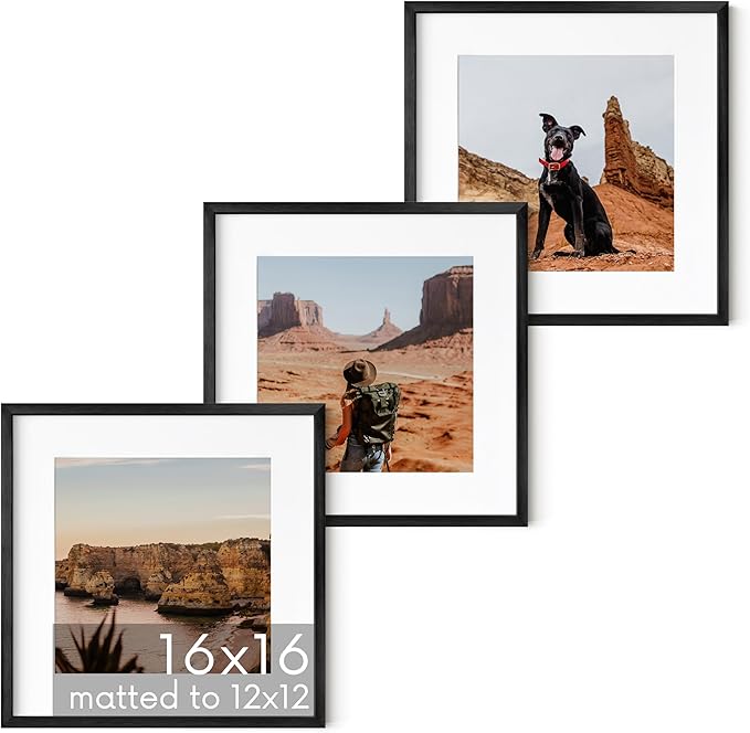 HAUS AND HUES 16x16 Black Metal Picture Frames Matted to 12x12 - Features Premium Aluminum & Hanging Hardware, Shatterproof Plexiglass - Ideal for Home, Room, Office (16x16 in, Black, Set of 3)