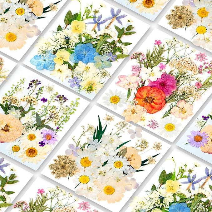 105Pcs Subtle Colors Flowers for Resin Model, Real Pressed Flowers Dry Leaves Bulk Natural Herbs Kit for Scrapbooking DIY Art Crafts, Epoxy Jewelry, Candle, Soap Making, Nails Decor