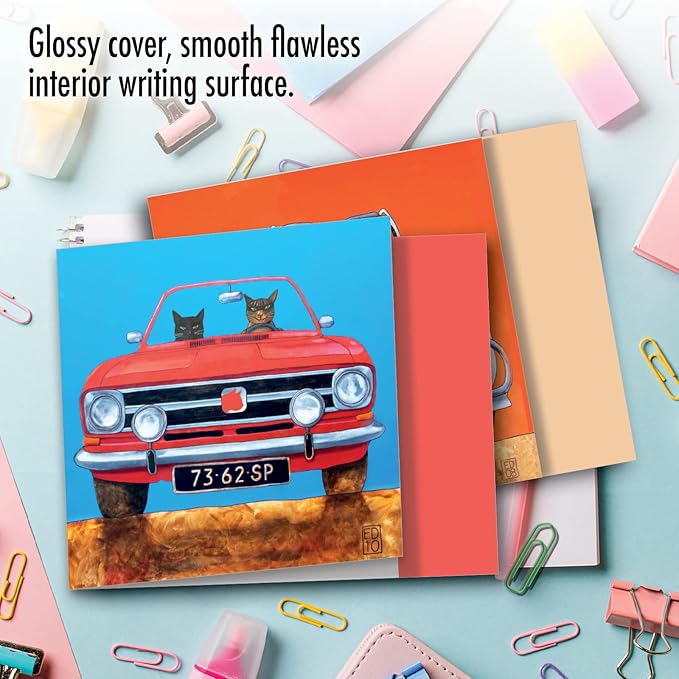 The Best Card Company - 10 All Occasion Blank Cat Cards (4 x 5.12 Inch) - Cute Assorted Bulk Card Set - Car Cats MQ4978OCB-B1x10