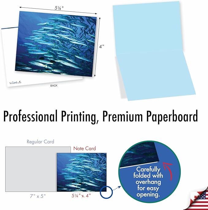 The Best Card Company - 10 All Occasion Blank Cards for Men and Women (4 x 5.12 Inch) - Nautical, Ocean, Sea Life Assortment of Notecards - Deep Thoughts M2012