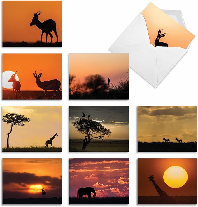 The Best Card Company - 10 Blank Animal Cards Boxed (4 x 5.12 Inch) - Assorted Pets, Zoo, Wildlife Cards for Kids - Safari Sunsets M6551OCB