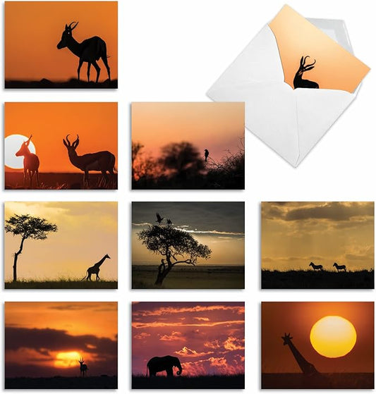 The Best Card Company - 10 Blank Animal Cards Boxed (4 x 5.12 Inch) - Assorted Pets, Zoo, Wildlife Cards for Kids - Safari Sunsets M6551OCB