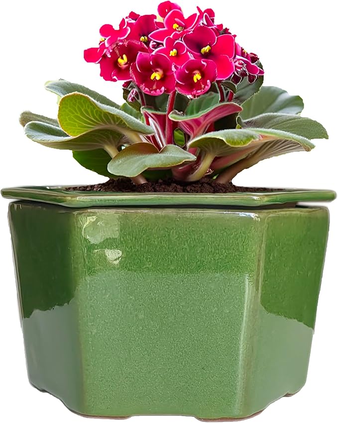 African Violet Pots 6 inch Hexagon Self-Watering Ceramic Pots 4.50'' Opening(Green)
