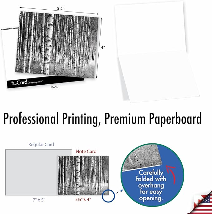 The Best Card Company - 10 Blank Note Cards with Envelopes (4 x 5.12 Inch) - Black & White Photos, Bulk Boxed Set - Whitewoods M6451OCB