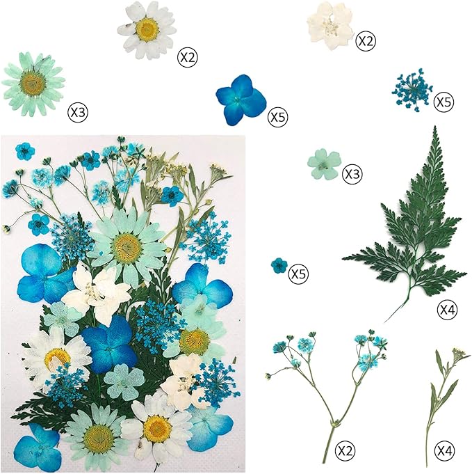 Cinvo 90 Pcs Real Dried Pressed Flowers and Leaves Natural Dried Petals for Candle Resin Jewelry Soap Nail Pendant Phone Case Crafts Making Floral Decors Scrapbooking DIY(Blue, Purple, Pink, Green)