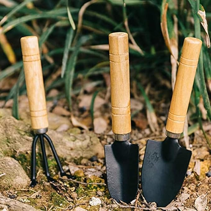 10pcs Succulent Gardening Tool Set for Miniature Planting and Bonsai with Wooden Handles, Indoor Potting Hand Tools Kit for Transplanting Flowers and Cactus