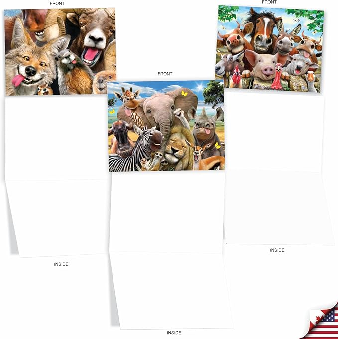 The Best Card Company - 10 Blank Animal Cards Box Set (4 x 5.12 Inch) - Bulk Assorted Pets, Horses, Wildlife Cards for Men and Women, Camp - Here's Looking at Zoo M6639OCB