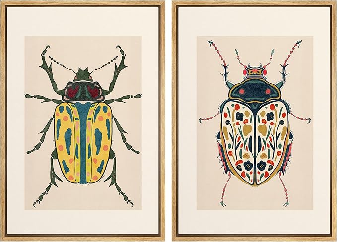 SIGNWIN Framed Canvas Print Wall Art Set Colorful Beetle Vintage Insect Illustrations Modern Art Minimal Boho Colorful for Living Room, Bedroom, Office - 16"x24"x2 NATURAL