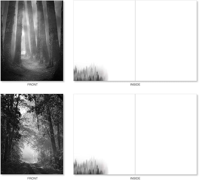 The Best Card Company - 20 All Occasion Blank Greeting Cards (4 x 5.12 Inch) - Monocolor Photos (10 Designs, 2 Each) - Misty Woods AM7167OCB-B2x10
