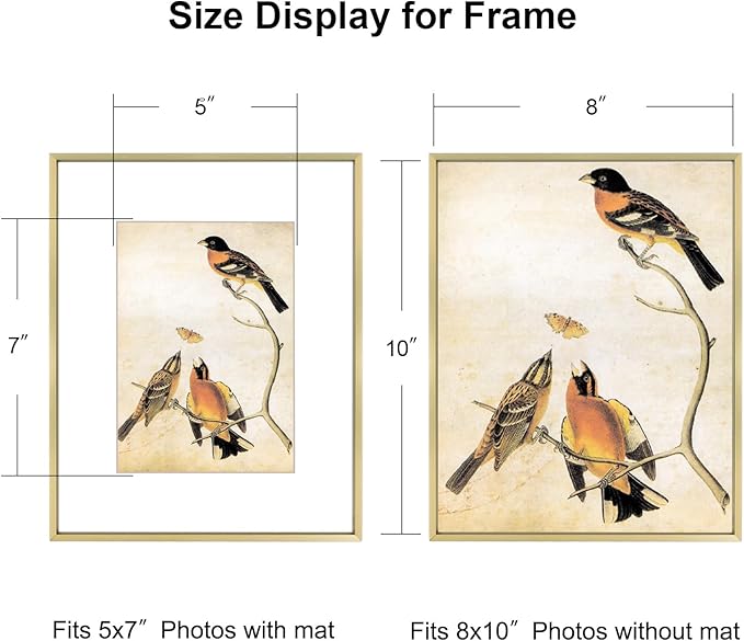 8x10 Picture Frame, Brass Aluminum Metal Photo Frames with HD Glass, Fits 5x7 with Mat or 8 x 10 without Mat, Display for Wall and Table
