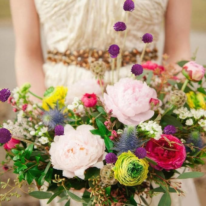 220 Pcs Dried Flowers Heads for Crafts Purple Globe Amaranth Natural Dried Gomphrena Globosa Flower Bulk Dry Flower Arrangements for Wedding Decor Home Party Headband DIY