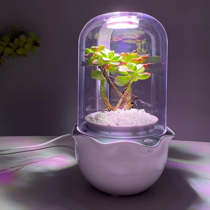 Venus Fly Trap Terrarium Pot with Timer Grow Light&Fan,Plant Terrarium kit for Moss&Cactus,Smart Planter for Carnivorous Plants&Butterwort,Valentine Birthday Gifts for Women Garden Lover(no Plant)