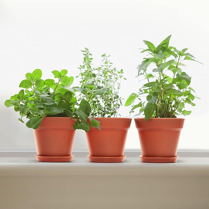 10 Pack Plastic Plant Pots with Drainage Holes and Tray, 5 inch Thickened Indoor Planters Seedlings Nursery Pots for Flowers, African Violet, Succulent and All House Plants, Terracotta