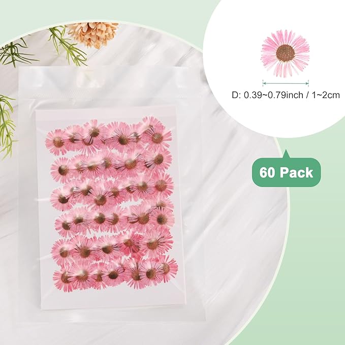 60-Pack Dried Pressed Flowers for Resin, Real Natural Bulk Dry Floral for Crafts/DIY Jewelry/Soap Making/Scrapbooking/Handmade Candle/Epoxy Resin Supplies [Pink]