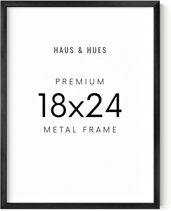 HAUS AND HUES 18x24 Black Picture Frame - Aluminum, Shatterproof Plexiglass, Vertical & Horizontal Hanging - Ideal for Home, Room, Office Decor (18x24 in)