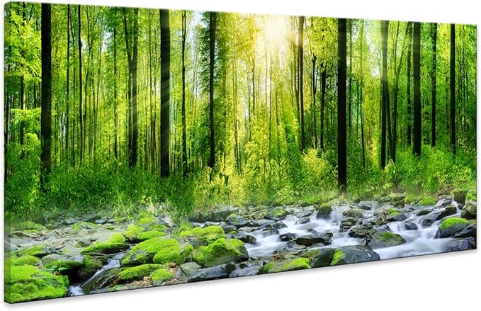 Tucai Decor Canvas Art Decor Morning Sunrise Green Trees Landscape Sunshine Over Forest Photograph Printed on Canvas for Home Wall Decoration Wall Art for living Room Print Artwork Natural Picture