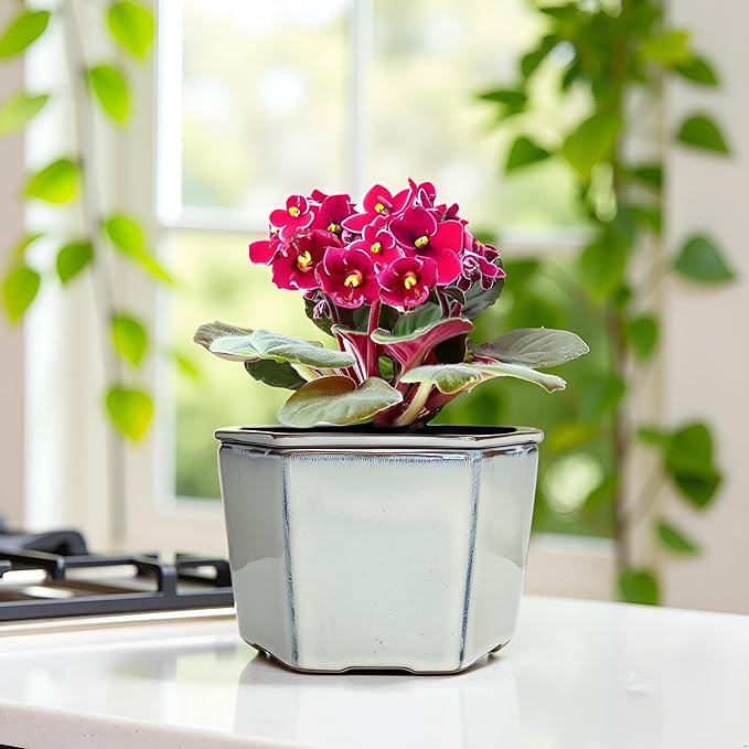 African Violet Pots 6 inch Hexagon Self-Watering Ceramic Violet Pots 4.50'' Opening (Cream White)