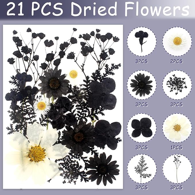 Real Dried Pressed Leaves Natural Dried Leaf for Candle Resin Jewelry Soap Nail Pendant Phone Case Crafts Making Floral Decors Scrapbooking DIY (63 Pcs Black Dried Leaves)