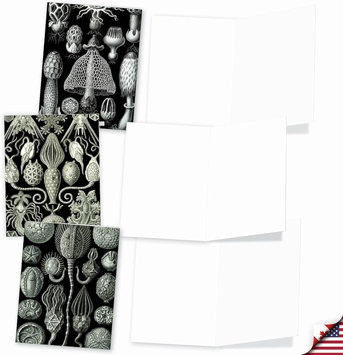 The Best Card Company - 10 Blank Note Cards with Envelopes (4 x 5.12 Inch) - Black & White Photos, Bulk Boxed Set - Sea World M9693OCB