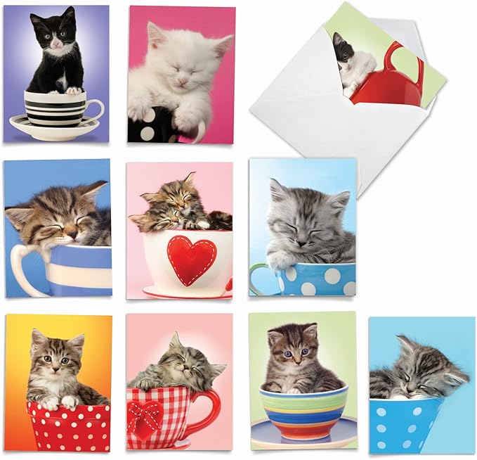 The Best Card Company - 10 Adorable Blank Cat Cards (4 x 5.12 Inch) - Cute Pet Kittens, Assorted Bulk Notecard Set - Cup-Cats M3969