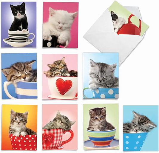 The Best Card Company - 10 Adorable Blank Cat Cards (4 x 5.12 Inch) - Cute Pet Kittens, Assorted Bulk Notecard Set - Cup-Cats M3969