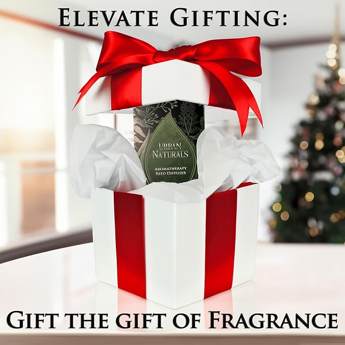Urban Naturals Winter Eucalyptus Reed Diffuser Gift Set – Crisp Eucalyptus, Mint, Spruce, Cedar, Amber, Virginian Cedarwood – Sleek Rectangular Refillable Glass Bottle – Made in The USA