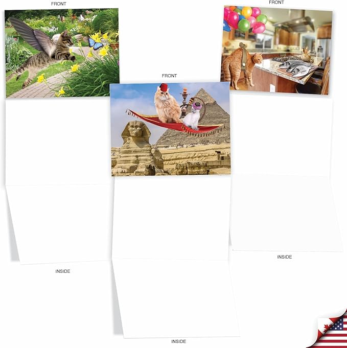 The Best Card Company - 10 Adorable Blank Cat Cards (4 x 5.12 Inch) - Cute Pet Kittens, Assorted Bulk Notecard Set - Flying Felines M6450OCB