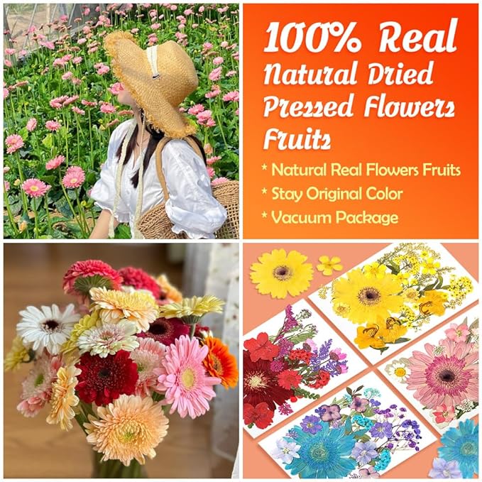 Dried Pressed Flowers for Resin Model, Real Pressed Barberton Daisy Bulk Natural Herbs Kit for Scrapbooking DIY Art Crafts, Epoxy Jewelry, Candle, Soap Making, Nails Decor